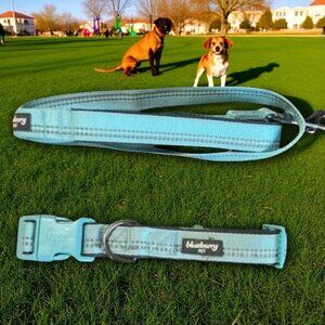 Blueberry Reflective 3M Dog Collar & Leash - M